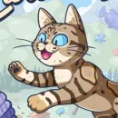 Curiosity
