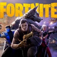 Fortnite Lawless Game