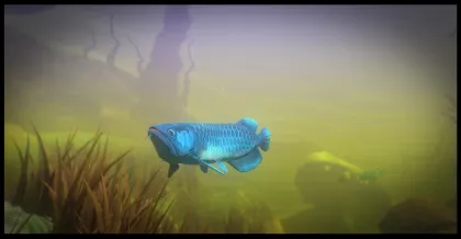 Feed and Grow: Fish Screenshot 1
