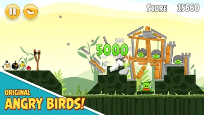Angry Birds Screenshot 2