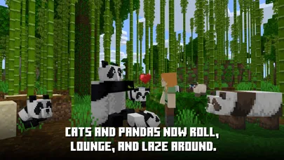 Minecraft Screenshot 2