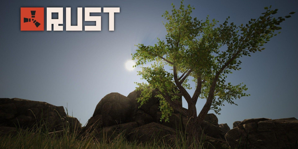 RUST game