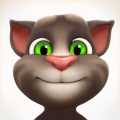 Talking Tom Cat Game